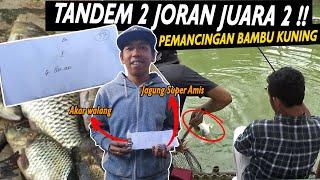 Umpan Jagung Super Amis Ikan Nyosor Pmc BAMBU KUNING #umpanikanmas