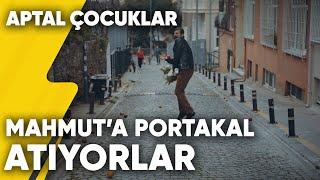 Mahalle Sakinleri Mahmut'u Portakal Yağmuruna Tutuyor | Aptal Çocuklar 6.Bölüm