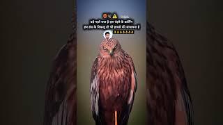 bade gahre raj h