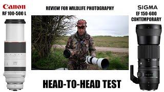 Canon RF 100-500mm vs Sigma 150-600mm Contemporary. Lens Review for Wildlife Photography