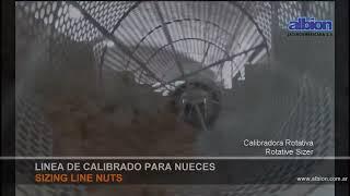 Linea de calibrado de nueces con tambor rotativo y pesadoras de bins con plataformas