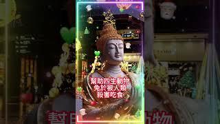 烹調美味的素食