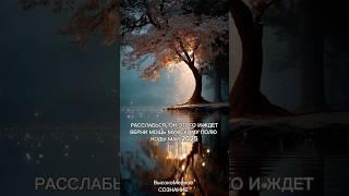 ВЕРНИ БП МОЩЬ. КОДЫ МАЙ 2025 #близнецовоепламя #квантовыйпереход #квантовыепрактики #портал #абсолют