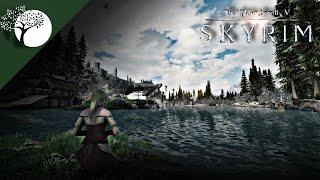 Three Wonderful Mods That Make Your Skyrim Beautiful | Skyrim Visual Mods