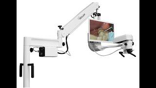 Seiler 3D Surgical Microscope Specifications