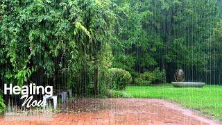 Cool rain soothes the mind. Rain sound ASMR for quick sleep and relaxation