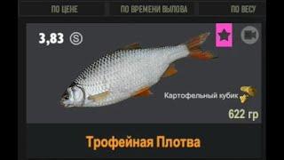 Fisher Online / Мой первый трофей в игре - плотва, пруд Дукора