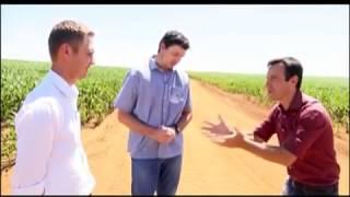 Conheça a família que produz 200 sacas de milho por hectare