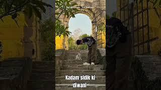 Kadam sidik ️ | #videoshort #youtube #interiordesignerlifestyle #hairstyle #interiorlifestyle
