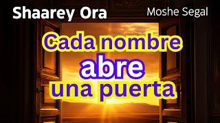 Clase 4 - Las Puertas de la Luz - Shaarey Ora - Moshe Segal - Cabala