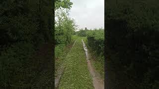 Walking in heavy rain and thunderstorm | Relax