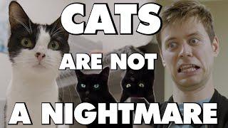 CATS Are NOT An Absolute Nightmare - This Is Why