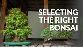 Selecting Bonsai species for your local Climate