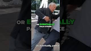 Single Whip Is Not What You Think – Real Tai Chi Application