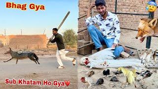 Jungle Janwar Sub Pets Mar Kr Bhag Gya