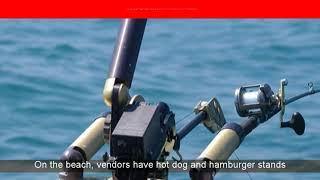 Boynton Beach Family Fishing | Boynton Beach Private Sport Fishing Charters | Fl Fishing Trips