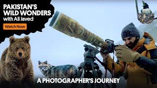 Journey of a Wildlife Photographer in Pakistan | OLX Pakistan