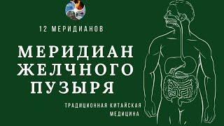 12 меридианов: МЕРИДИАН ЖЕЛЧНОГО ПУЗЫРЯ | Как улучшить отток желчи | Здоровье желчного пузыря |