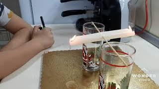 The Rocking Candle Experiment