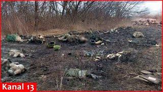 Armed Forces of Ukraine "nullified" two battalions of Russian Army in Sumy: Z-channels mourning