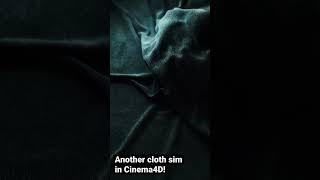 Another looping cloth simulation in Cinema4D