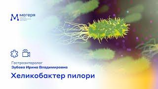 Хеликобактер пилори. Гастроэнтеролог Зубова Ирина Владимировна.