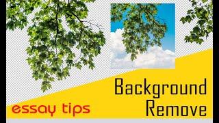 Essay Tips and Tricks, Background Remove in Photoshop