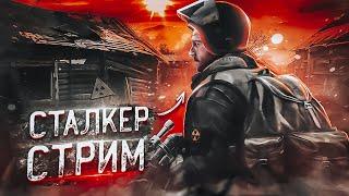 DAYZ STALKER RP l НОВАЯ ИСТОРИЯ l СТАЛКЕР РП #dayz