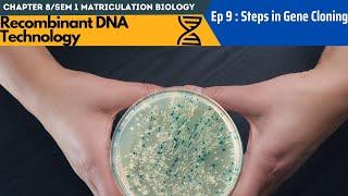 Chapter 8 EP 9 / Sem 1 :  Steps in Gene Cloning (Matriculation Biology)