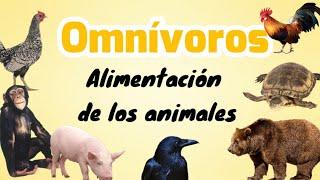 Animales omnívoros