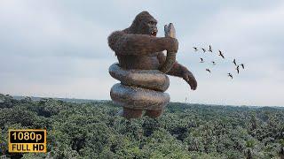 King Kong vs Big Snake Epic Fight