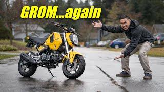 Here we go again | Honda Grom