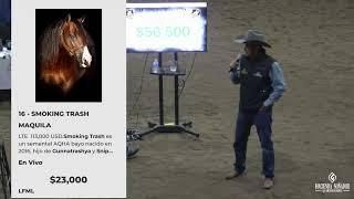 Subasta de Sementales en El Guadalajara Reining Classic