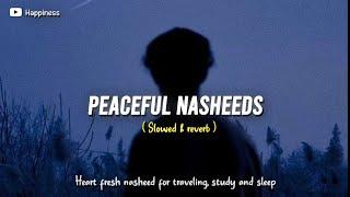 5 Soul healing Nasheeds || Slowed & reverb || Happiness