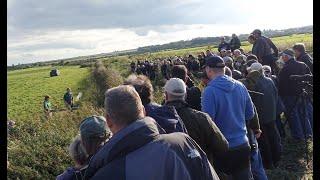 Holkham Hall Wardens Confront Angry Twitchers DON'T PERSECUTE THE BIRD!!