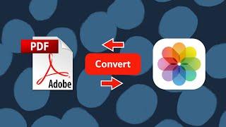 The Fastest Way To Convert PDF To Images PNG/JPG With One Tap Only