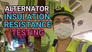 6,600 VOLTS ALTERNATOR INSULATION RESISTANCE CHECK