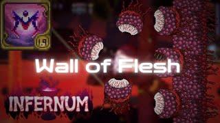 Wall of Flesh Melee - SPEEDKILL Infernum Mode Expert Terraria Calamity Mod 2.0.3