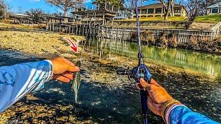 Chatter-bait fishing on the Guadalupe River! (Basically Cheating)