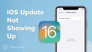 How to Fix iOS is Up to Date/iOS 16 Update Not Showing Up [Latest Solutions]