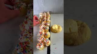 29 Calorie High Protein Vanilla Mini Cupcake
