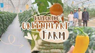 Experience Greenheart Farm with us: Firsthand Experience of Organic Farming