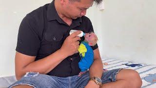 Dad's sincere sharing and confession about the current life of monkey Jobi