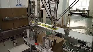 Automatic Case Packer & Delta Robot