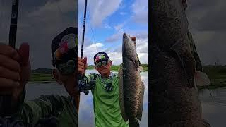 The happy moment when Mr. Colmek got a fairly large Channa Argus fish ️ #fish #fishing #snakehead