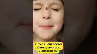Rüyada uğur böceği görmek ne anlama gelir? #rüyatabirleri #rüyadagörmek #ugurbocegi #yorum