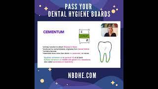NBDHE Dental Hygiene Boards - Video Crash Courses covering commonly asked test questions