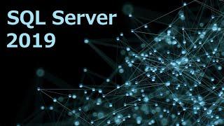 Install SQL Server 2019 Step by Step | Developer Edition | Free Software | Install SSMS