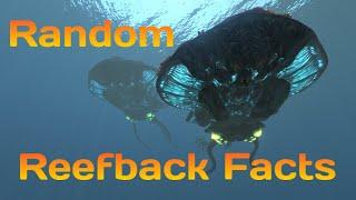 Reefback Facts You Didn’t Know | Subnautica