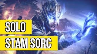 Stamina Sorcerer Solo PVE Build - BLADE STORM - Amazing Damage and Survival Plus PETS!